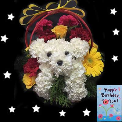 "Midnight Surprise Flowers - codeF13 - Click here to View more details about this Product